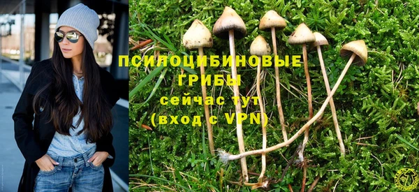гашишное масло Абаза