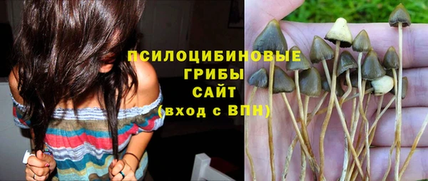 тгк Магас