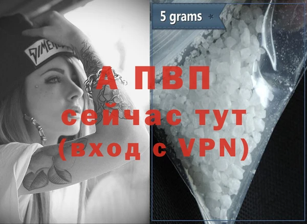 тгк Магас